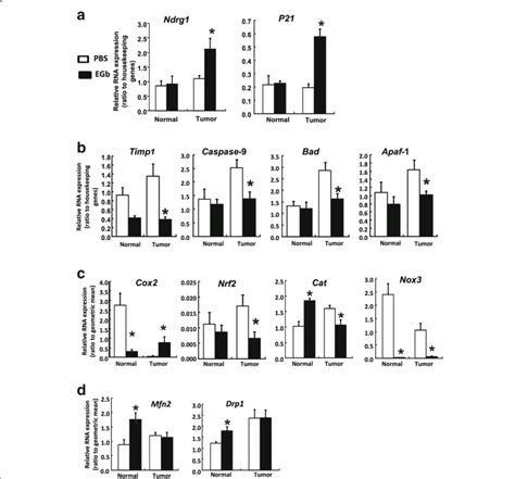 Relative mRNA expression in mouse liver. mRNA expression was analyzed ...