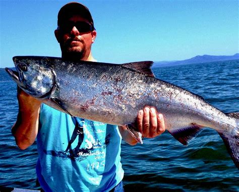 Buoy King Salmon Fishing Guided Fishing At Astoria