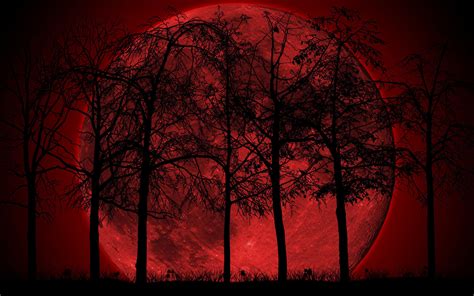 🔥 [30+] Dark Forest With Moon Wallpapers | WallpaperSafari