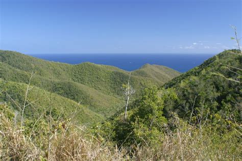 13 Best St. John Hiking Trails To Explore 2024 - SeeStJohn.com