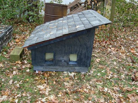 I Made An Insulated And Shingled Wooden House For Feral Cats Cool