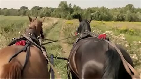 Free Sex Movies Online XXX Videos Free Porn Videos