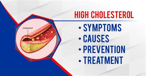 High Cholesterol Symptoms Causes Prevention And Treatment