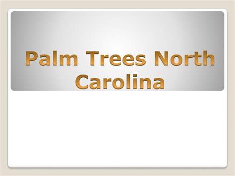 Best Palm Trees North Carolina