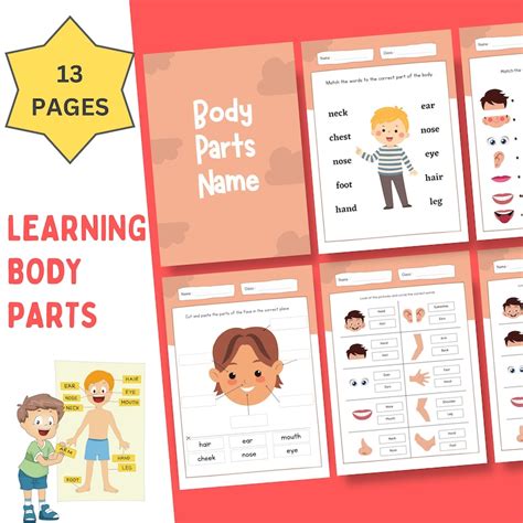 Body Parts Learning Template Educational Kit for Kids Body - Etsy