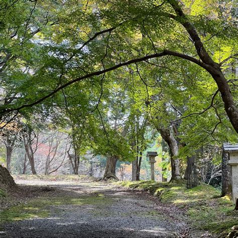 あなたと奈良いい古都🍁初秋 吉野山 2023｜🍀greensnap（グリーンスナップ）