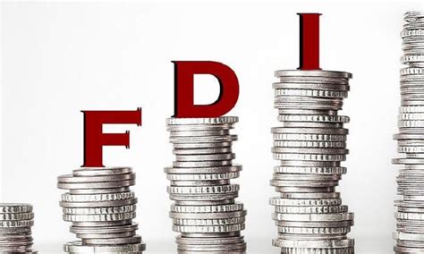 FDI là gì Đặc điểm và điều kiện để trở thành doanh nghiệp FDI