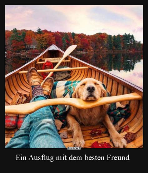 Ein Ausflug Mit Dem Besten Freund Debestede