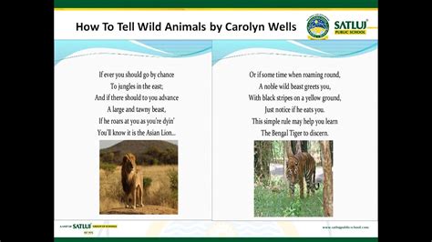 wild animals youtube