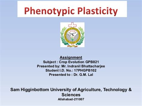 04 phenotypic plasticity