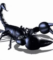 Big Soft Tits Tranny Babe Strokes Cums Porn E5 XHamster XHamster