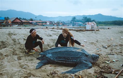 La Pesca Sostenible Qu Es Y C Mo Promoverla Nirsa