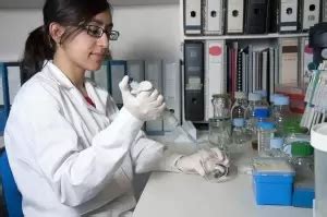 How To Become An Environmental Laboratory Technician