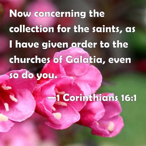 1 Corinthians 16:1 Now concerning the collection for the saints, as I ...