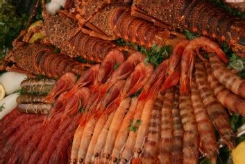 Diferencia entre Gamba y Langostino Características Tipos y Más