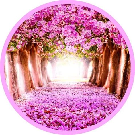 A Pink Circle With Trees And Flowers In The Middle Is Surrounded By