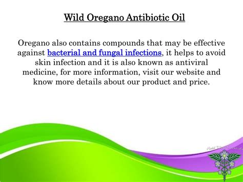 PPT - Oregano Oil Antibiotic PowerPoint Presentation, free download ...