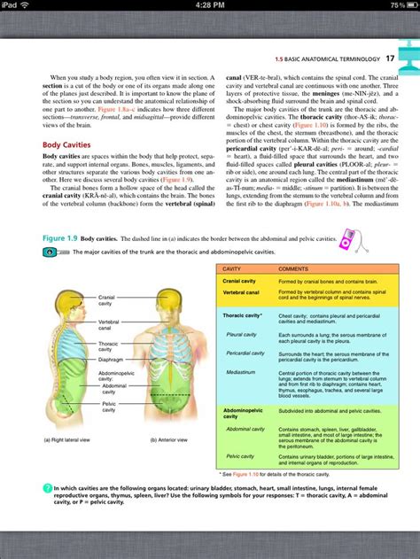 Principles Of Anatomy And Physiology Chapter 1 Intro To The Human