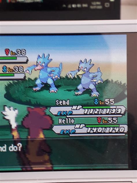 [5] Shiny Golduck appears after only 2,139 RE's. Only 2 days after Uxie ...