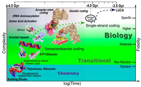 Life | Special Issue : The Origins and Early Evolution of RNA