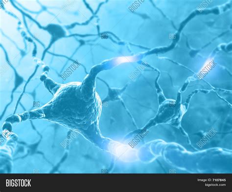 Neuron Energy Image And Photo Free Trial Bigstock