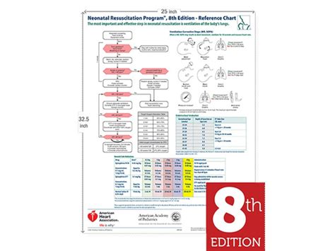 NRP Wall Chart, 8th ed. Single unit 22" x 34" | Laerdal Medical