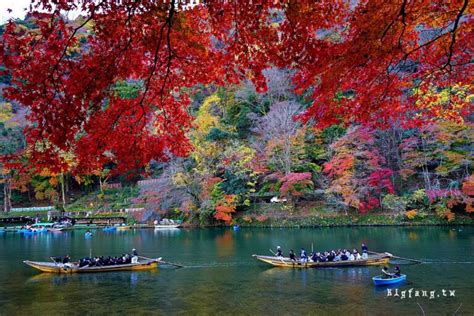 京都嵐山必拍景點 嵐山渡月橋嵐山公園桂川屋型船 春櫻秋楓一年四季都有不同迷人的風情 樂活的大方