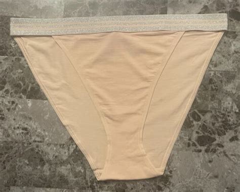 VICTORIA S SECRET XL BEIGE NUDE SILVER THICK BAND RARE HIGH LEG BIKINI PANTIES EBay
