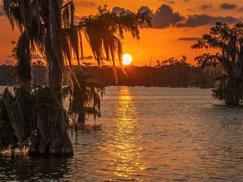 The Nature Conservancy and Lake Martin | The Heart of Louisiana