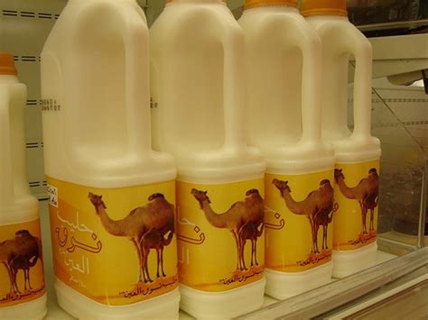 Trends | Camel milk trends in the UAE as Ritz-Carlton Abu Dhabi employs in-house "Camel Milk ...