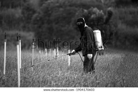 Problem Using Insecticides Herbicides Agriculture Still Stock Photo