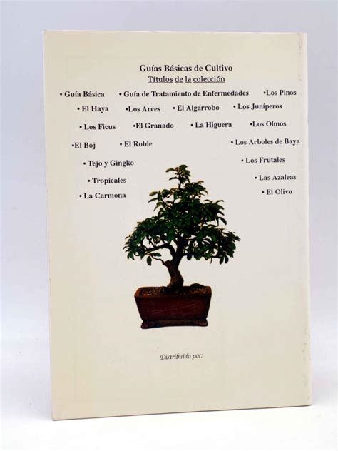 Guias Bonsai Y Gu As Pr Cticas Por Especies Rboles De Baya Sebasti N