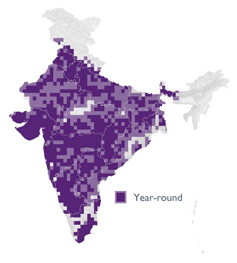 Red-naped Ibis | Bubo Birding