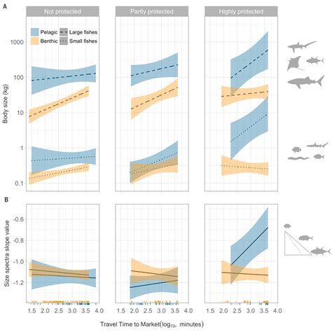 divergent responses  pelagic  benthic fish body size structure