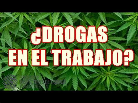 Qu Sucede Si Das Positivo En Drogas En El Trabajo Consecuencias Y