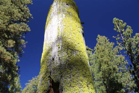 Guides - Mt Lassen, CA - Introduction - Dave's Travel Corner