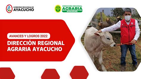 INFORME AVANCES Y LOGROS DRA AYACUCHO Dirección Regional de