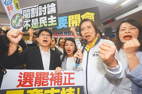 選罷法5日排審 掀攻防 藍酸綠杯葛 怕得罪側翼 政治要聞 中國時報