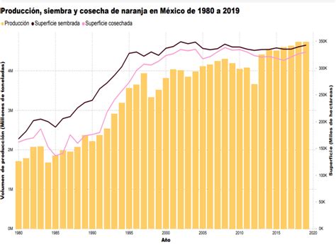 Cuánto cuesta el kilo de naranjas Cuánto Cuesta