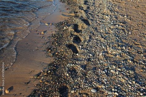 Footprints on the beach Stock Photo | Adobe Stock