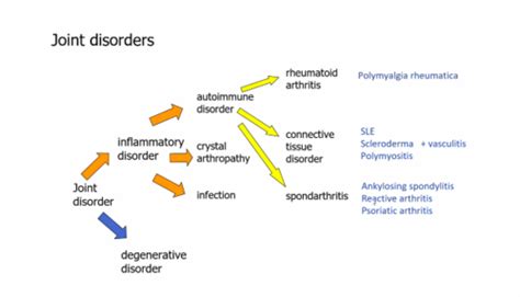 MSK Disorders Soft Tissue Disorders Flashcards Quizlet