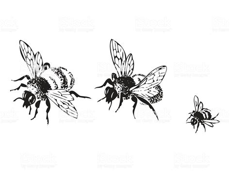 Vector Engraving Antique Illustration Of Honey Flying Bees Isolated