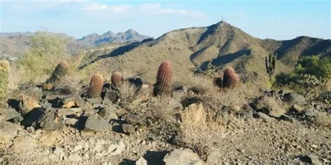 10 Best Hikes and Trails in Phoenix Mountain Preserve | AllTrails