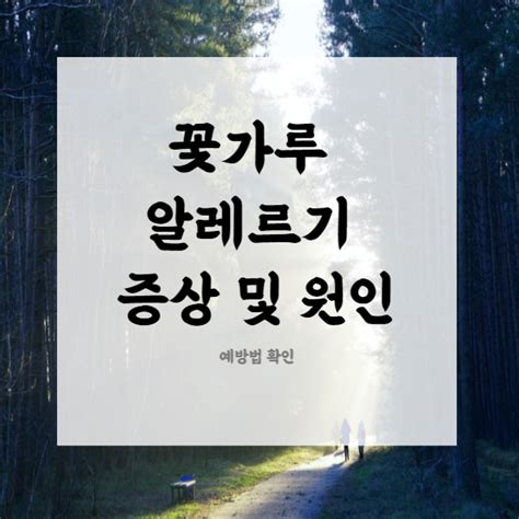 꽃가루 알레르기 증상과 원인 예방법 확인