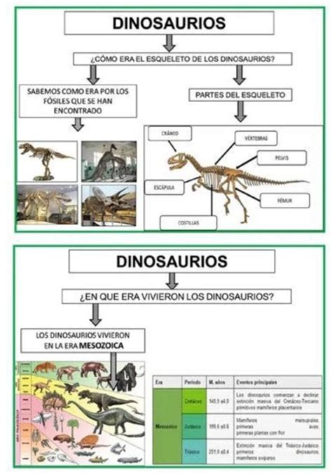 Top 62 Imagen Mapa Mental De Los Dinosaurios Viaterra Mx