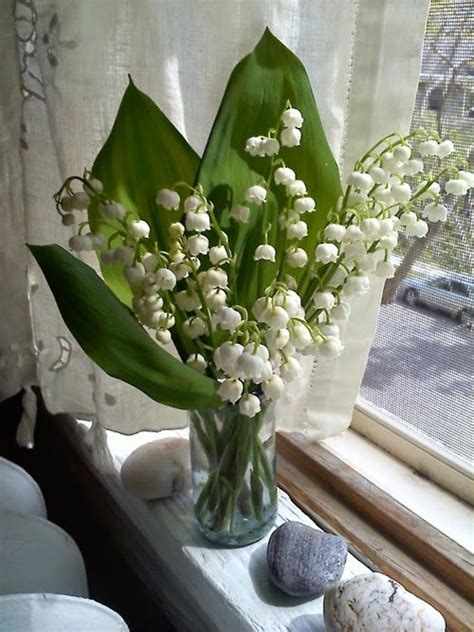 Pourquoi Offre T On Du Muguet Au 1er Mai Photo Muguet Beau Bouquet