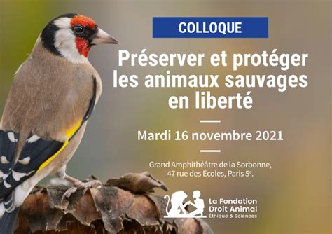 Colloque Préserver et protéger les animaux sauvages en liberté