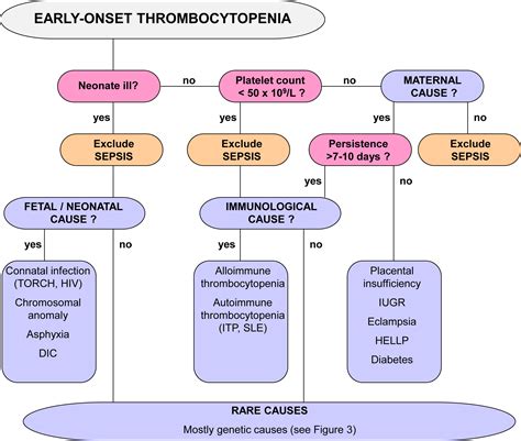 Thrombocytopenia And Platelet Transfusion In The Neonate Seminars In