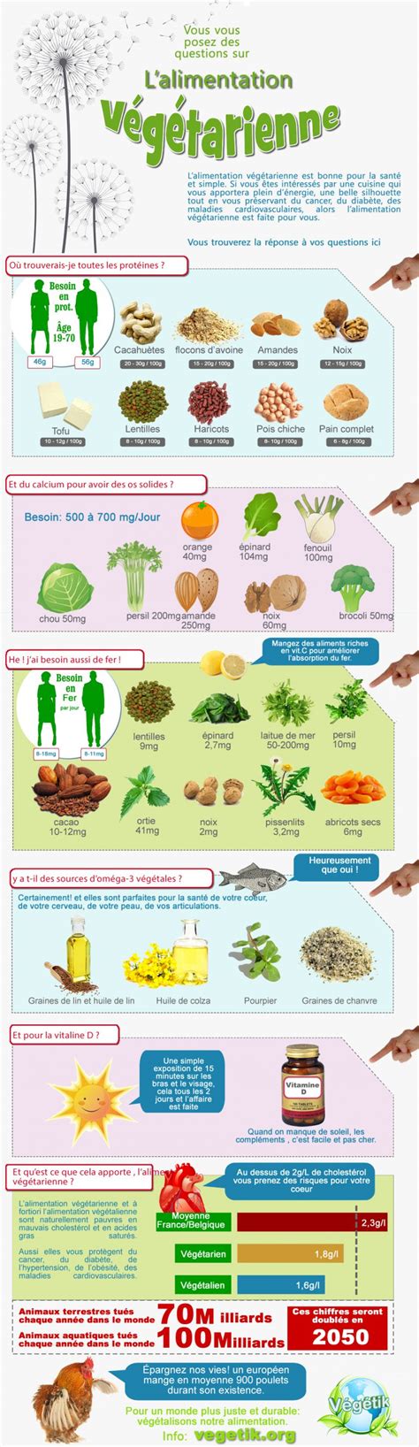 Lalimentation Végétarienne En Résumé Végétik