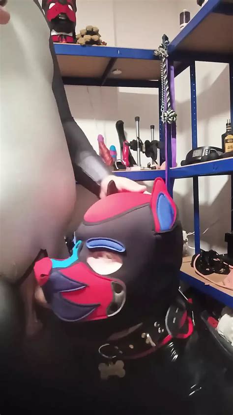 Vid Os Porno Animaux Gay Gratuites Xhamster